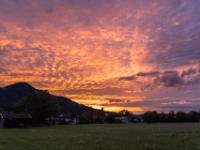 Verfärbtes Wolkenfeld am Abendhimmel